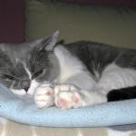 Human happiness depends on taking others into account.