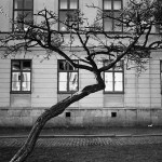 As the twig is bent the tree inclines.