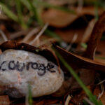 If you are lucky enough to find a way of life you love, you have to find the courage to live it.