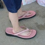 Whatever is well said by another, is mine.