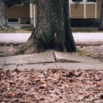 If you don’t like how things are, change it! You’re not a tree.