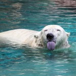 It is not he who reviles or strikes you who insults you, but your opinion that these things are insulting.