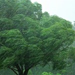 You have power over your mind – not outside events. Realize this, and you will find strength.