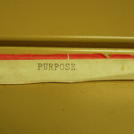 The two most important days in your life are the day you are born and the day you find out why.