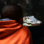 One thing that I don’t think my critics realize about me is that I’ve been trained to look adversity in the face.