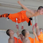 The events of life bear most harshly upon the inexperienced; the yoke is heavy to the tender neck.