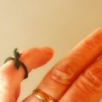 Memory is the treasury and guardian of all things.