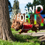 Not being able to do everything is no excuse for not doing everything you can.