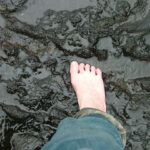 Good judgement comes from experience. Experience comes from bad judgement.