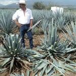 Ability without honor is useless.