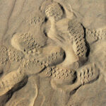 Every step you take, is a step away from where you used to be.